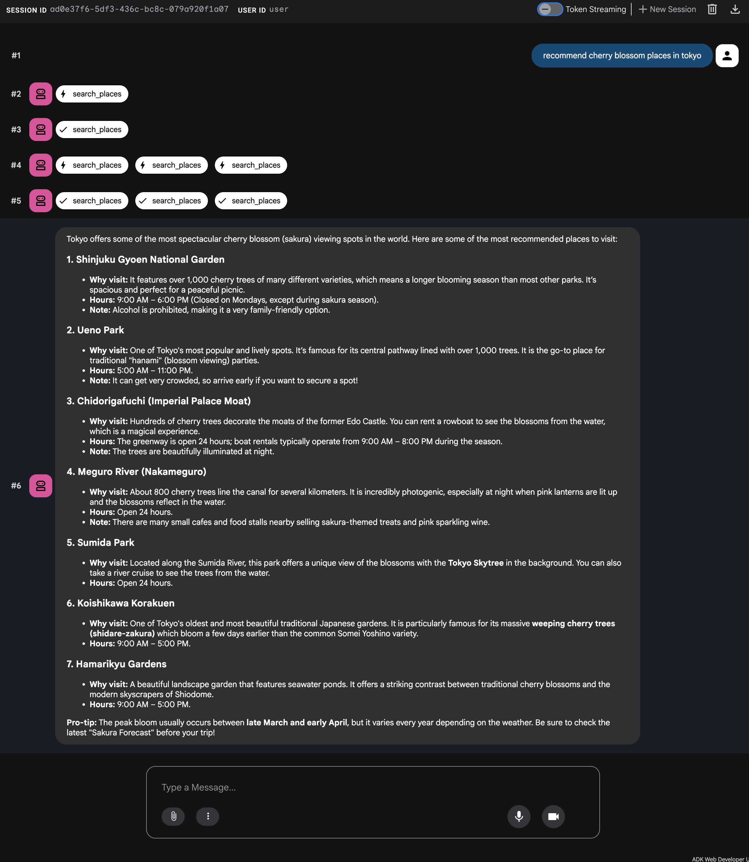 Google Maps Grounding Lite MCP with ADK Web Example